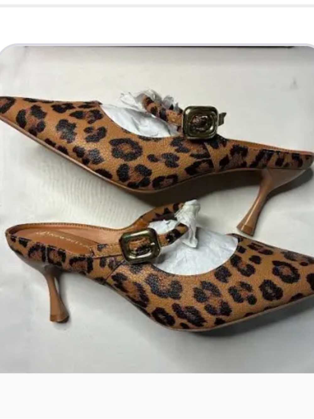 Leopard Print Pointed Toe Slingback Mules with Buckle - Brown